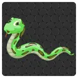 Hungry Snake