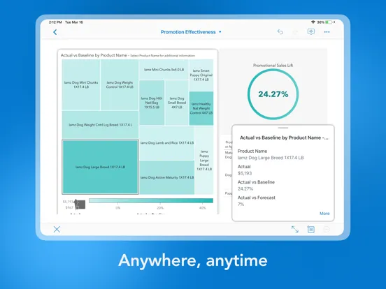 SAS Visual Analytics iPad 應用截圖