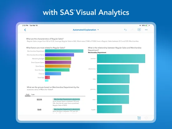 SAS Visual Analytics iPad 應用截圖