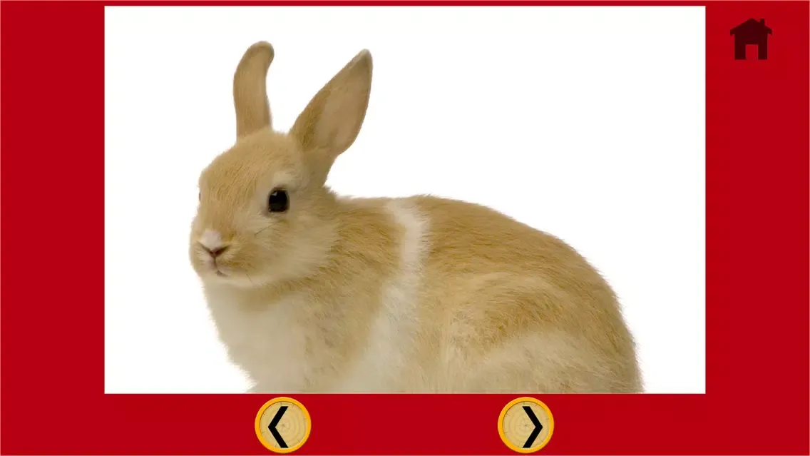 Captures d'écran de marvelous rabbits for kids - free