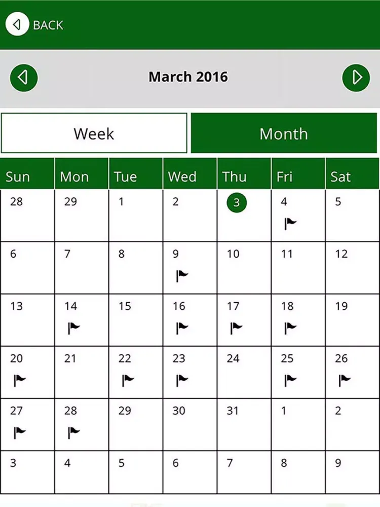 St Josephs Catholic School iPad 应用截图