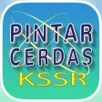 Pintar Cerdas