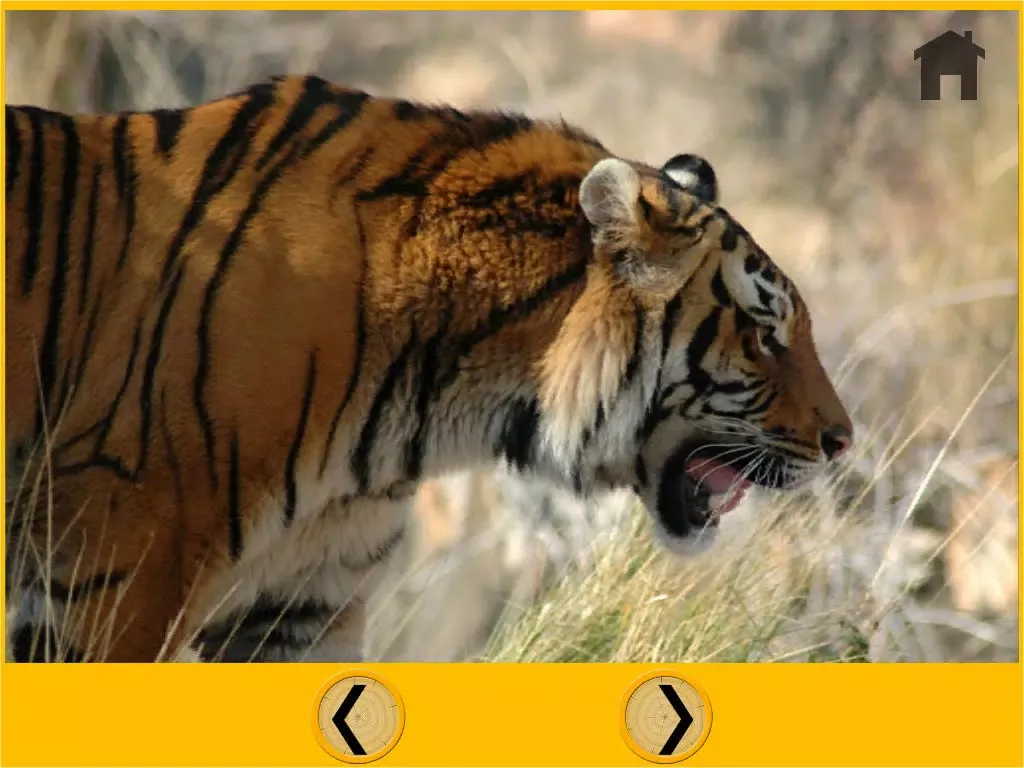Zrzuty ekranu amazing jungle animals for kids - no ads iPad 