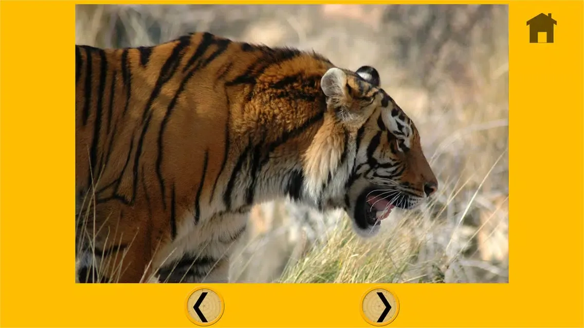 Zrzuty ekranu amazing jungle animals for kids - no ads