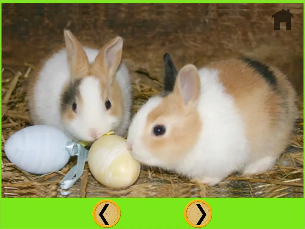 Tangkapan layar amazing rabbits for kids - no ads iPad 