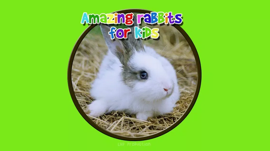 Tangkapan layar amazing rabbits for kids - no ads