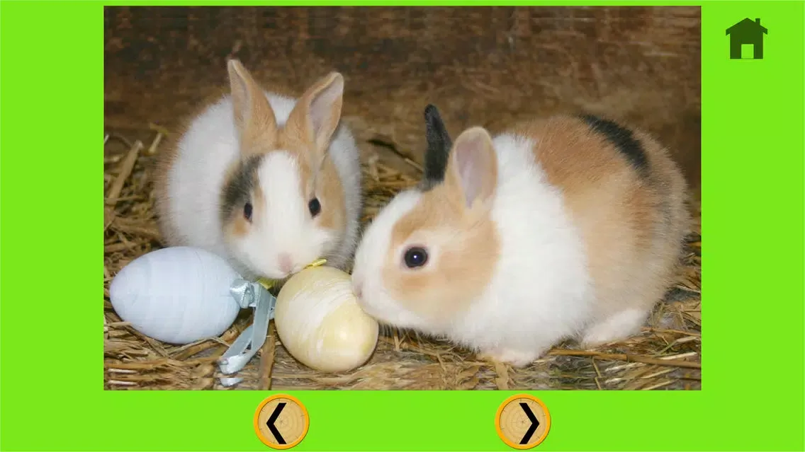 Tangkapan layar amazing rabbits for kids - no ads