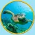 amazing turtles for kids - no ads
