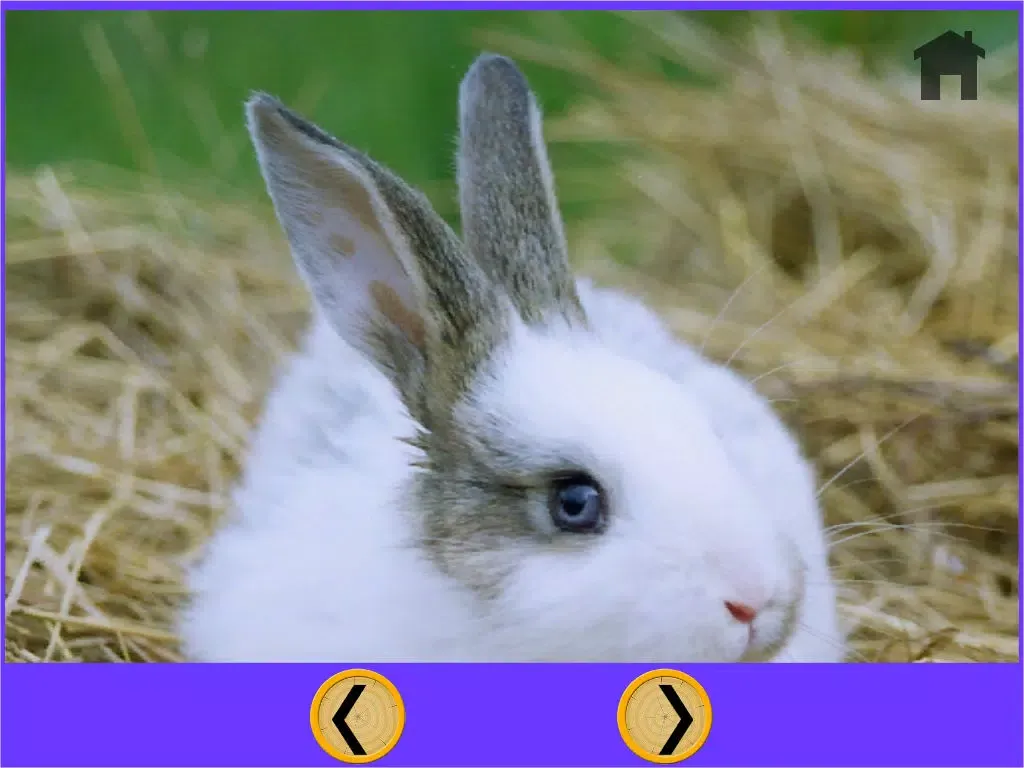 Captures d'écran de beautiful amazing rabbits for kids - no ads iPad 