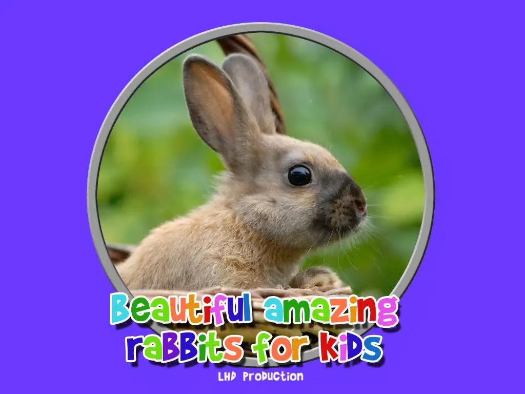 Captures d'écran de beautiful amazing rabbits for kids - no ads iPad 