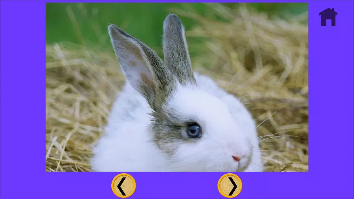 Captures d'écran de beautiful amazing rabbits for kids - no ads