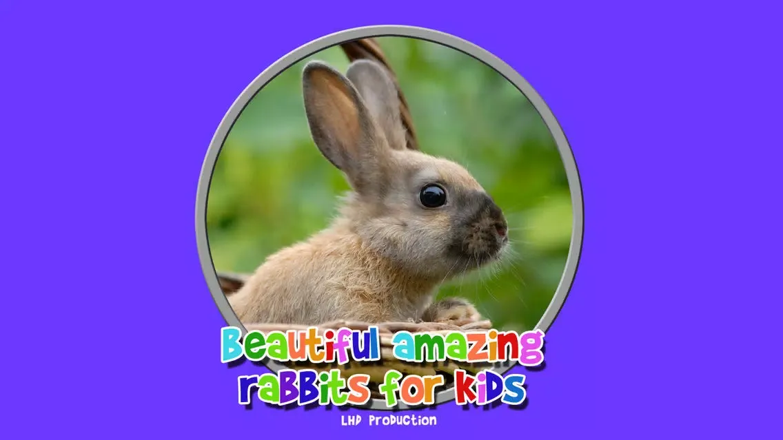 Captures d'écran de beautiful amazing rabbits for kids - no ads