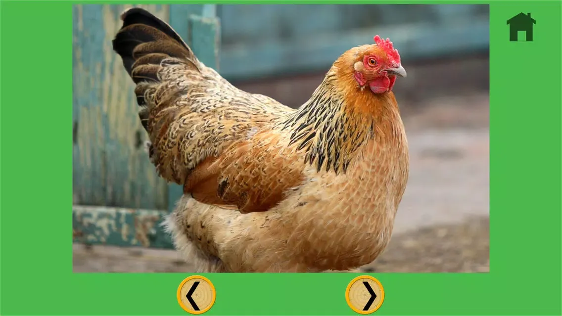 beautiful farm animals for all kids - free Screenshots