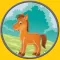 beautiful horses for kids - free game