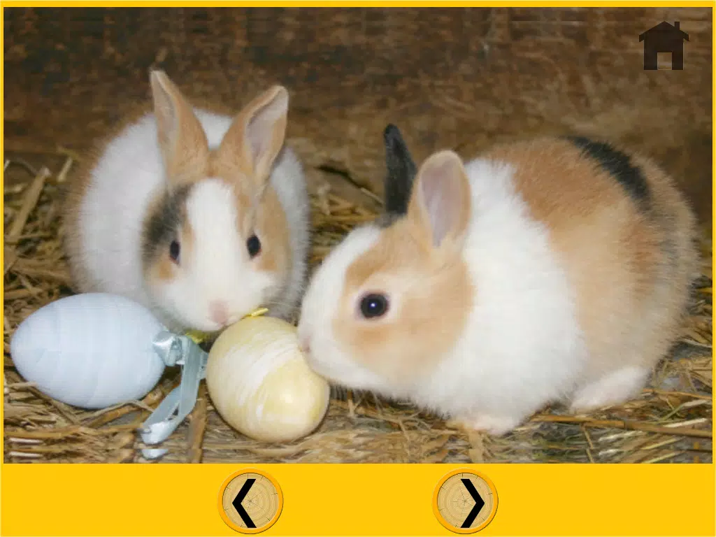 Capturas de tela do beautiful rabbits for all kids - free game iPad 