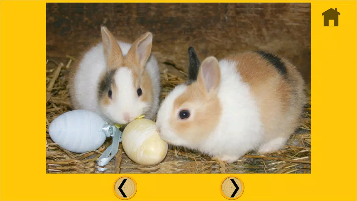 Capturas de tela do beautiful rabbits for all kids - free game