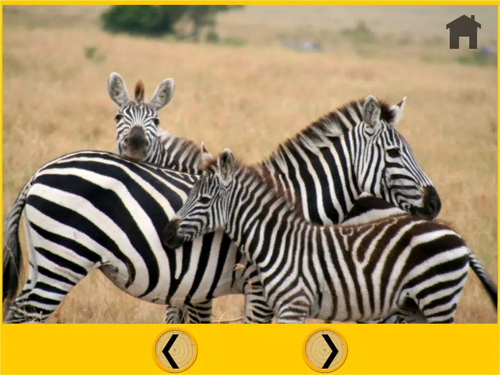 Скриншоты captivating jungle animals for kids - no ads iPad 