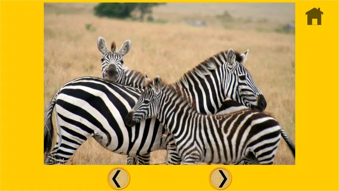 Скриншоты captivating jungle animals for kids - no ads
