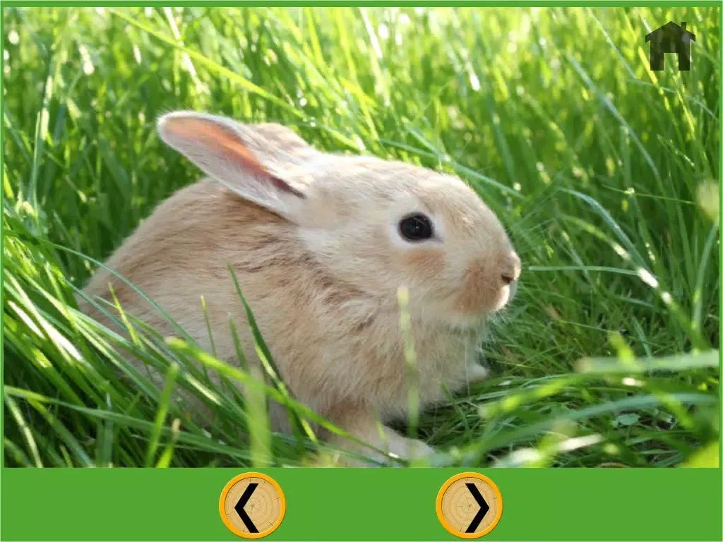 competition for farm animal - free iPad  Ekran Görüntüleri
