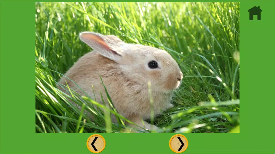 competition for farm animal - free Ekran Görüntüleri