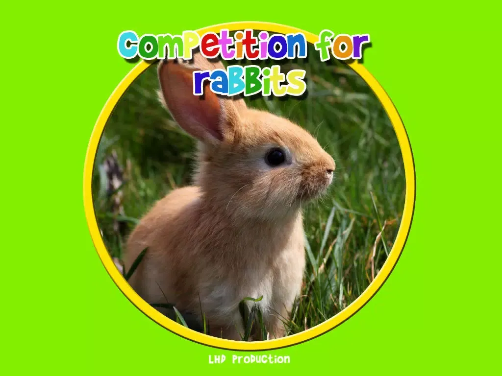 صور competition for rabbits - free game iPad 