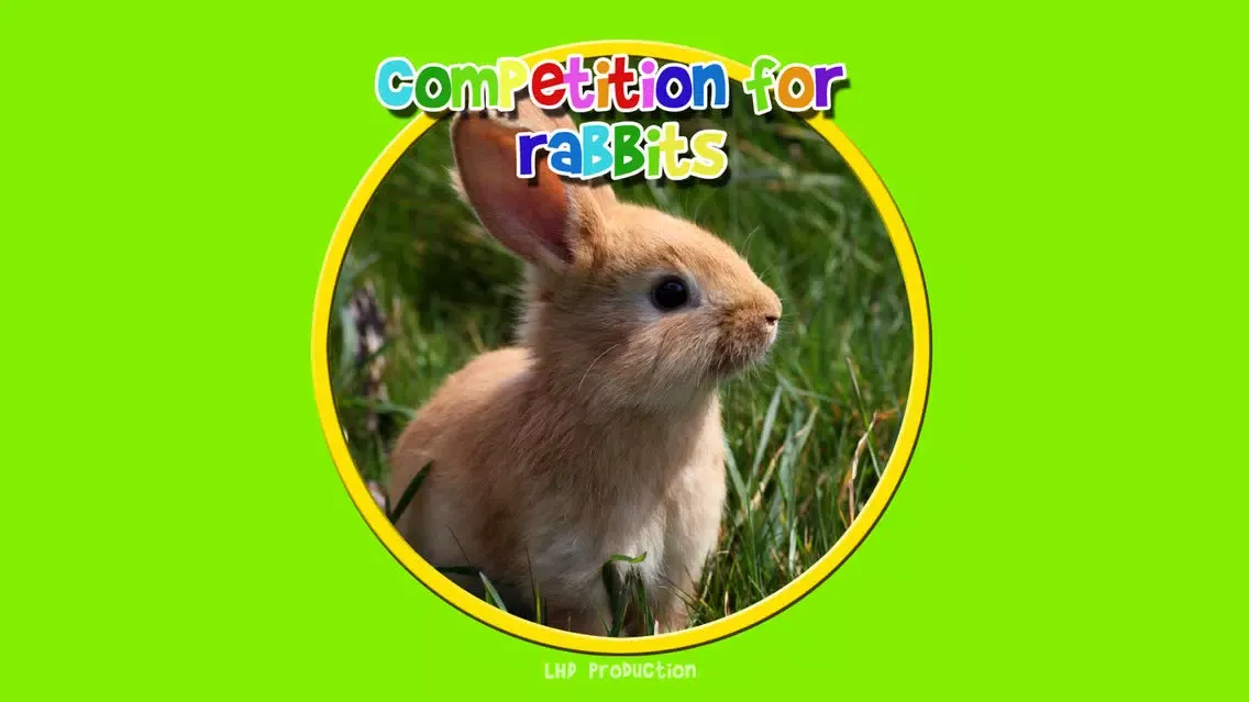 صور competition for rabbits - free game