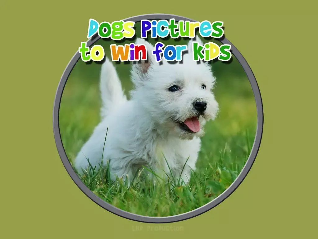 تصاویر dogs pictures to win for kids - free game iPad 
