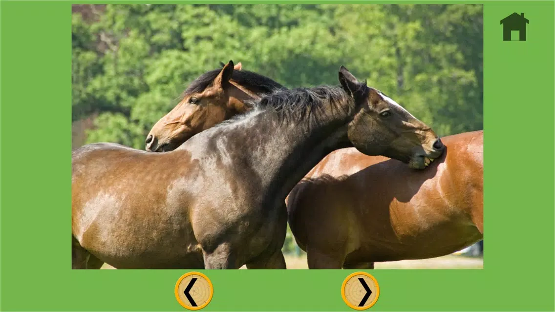 exciting horses for kids - no ads应用截图