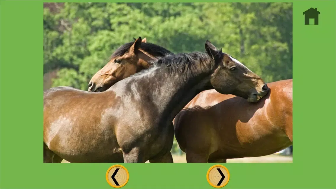 exciting horses for kids - no ads स्क्रीनशॉट