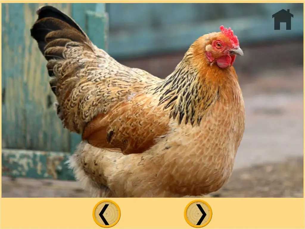 farm animals and games for kids - free game iPad  스크린샷