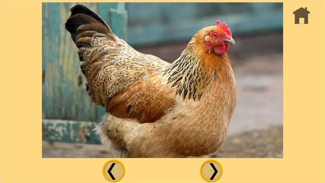 farm animals and games for kids - free game 스크린샷