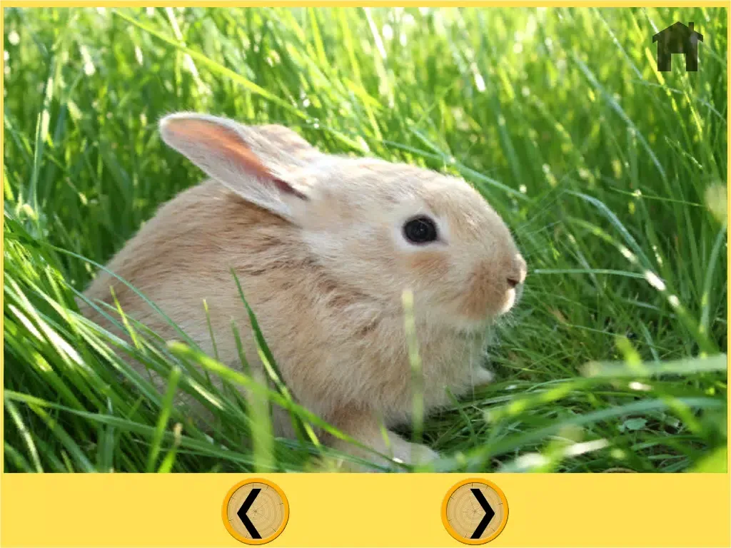 Capturas de tela do farm animals of my kids - free iPad 
