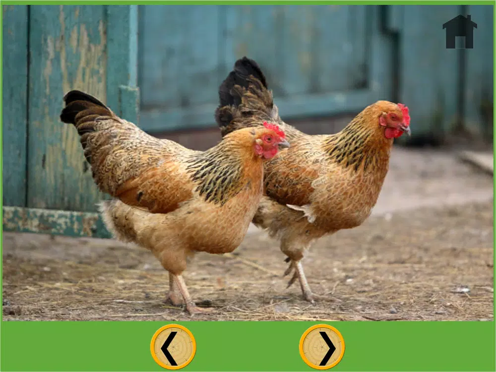 fascinating farm animals for my kids - free iPad  스크린샷