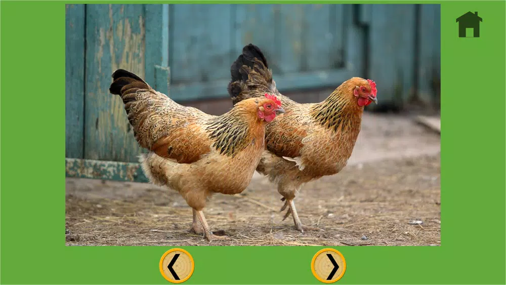 fascinating farm animals for my kids - free 스크린샷