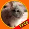 friendly rabbits for kids free