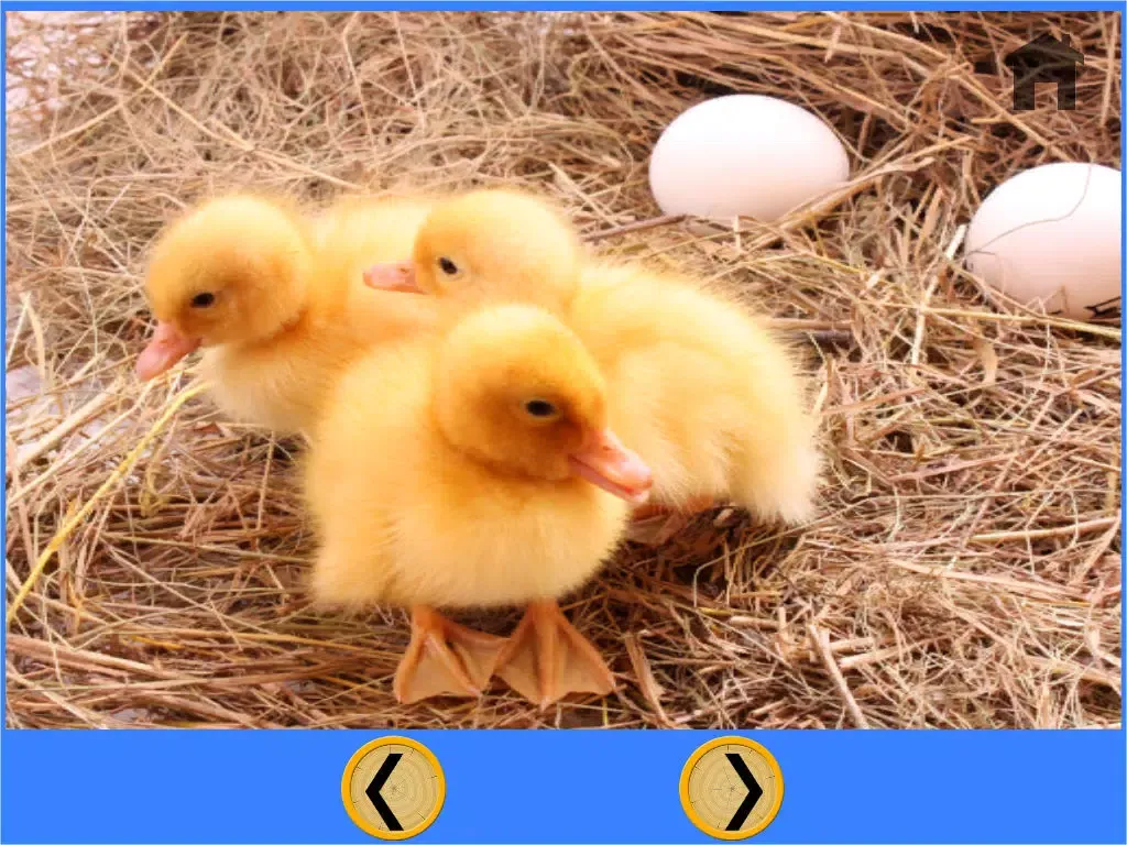 funny farm animals for kids - free game iPad 应用截图
