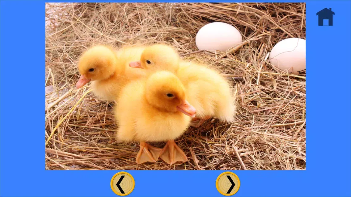 funny farm animals for kids - free game应用截图