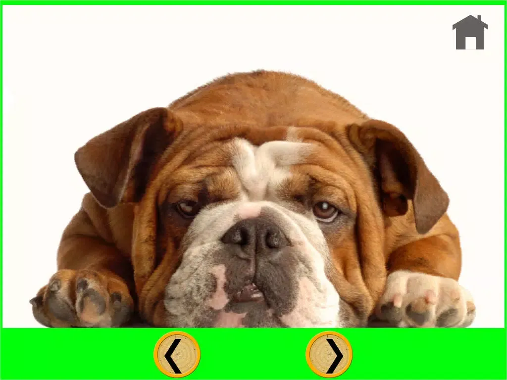 nice dogs for kids - no ads iPad  Ekran Görüntüleri