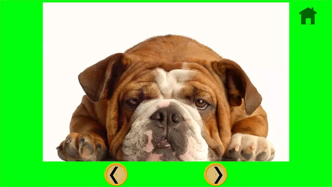 nice dogs for kids - no ads Ekran Görüntüleri