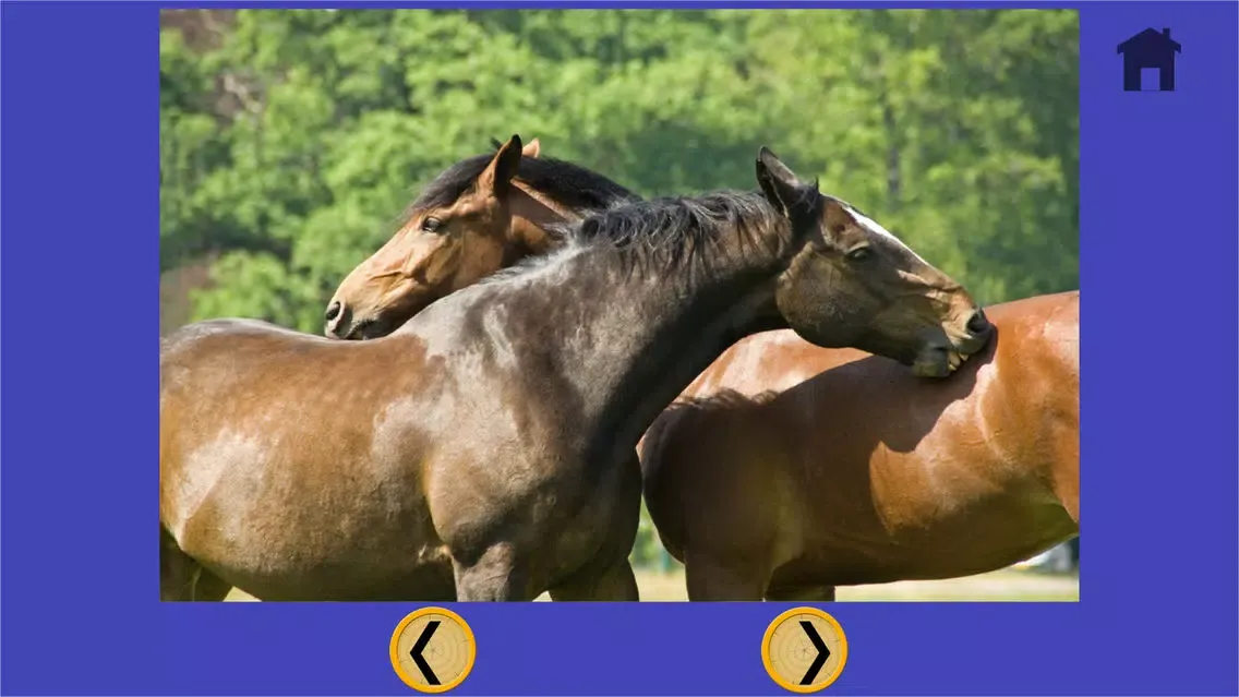 images of horses that i love - free game Screenshots