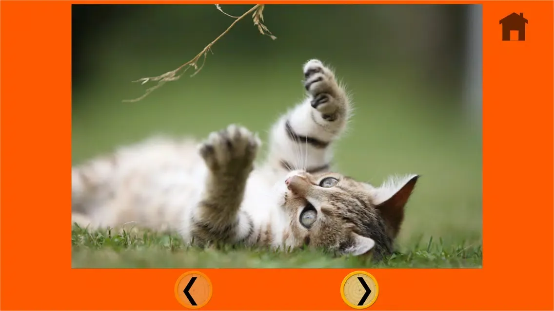 Tangkapan layar irrestible cats for kids - free