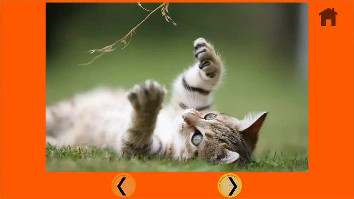 Captures d'écran de irresistible cats for kids - no ads