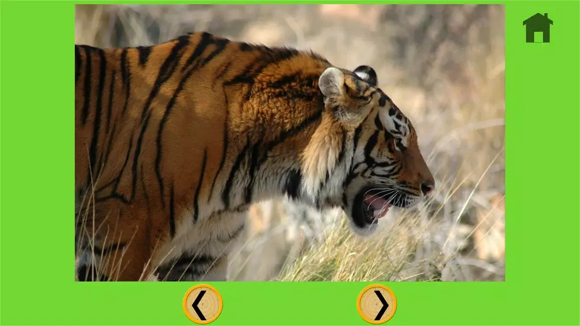 jungle animals delightful for kids - no ads 스크린샷
