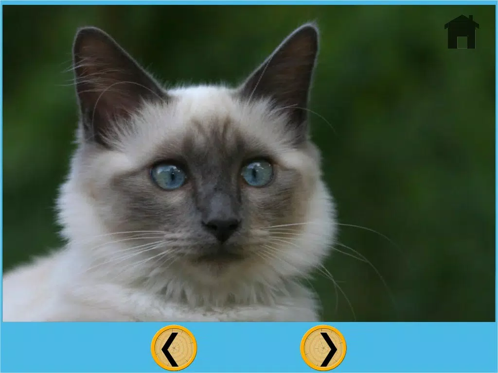 تصاویر kids cat lovers - free iPad 