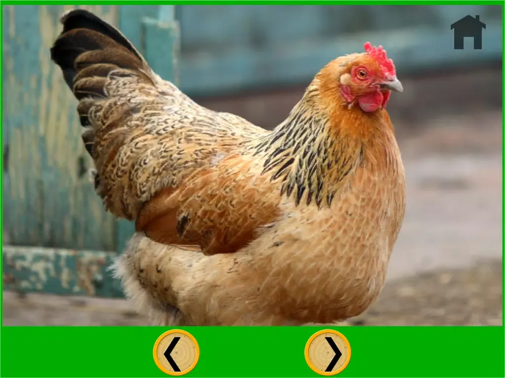 Скриншоты kids farm animals lovers - free iPad 