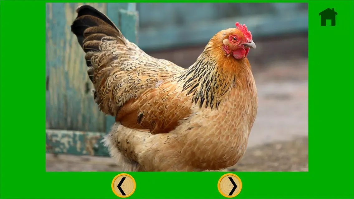 Скриншоты kids farm animals lovers - free