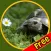 kids turtles lovers - free