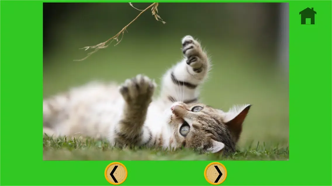 marvelous cats for kids - free Screenshots