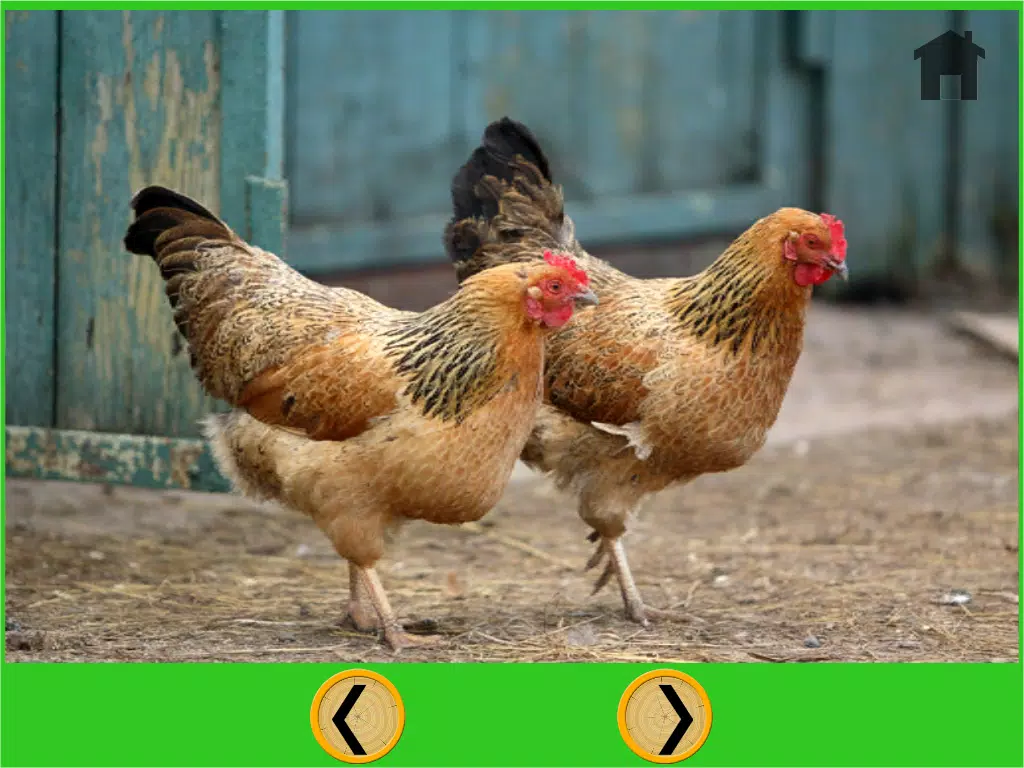 Screenshot di marvelous farm animals for kids - free iPad 