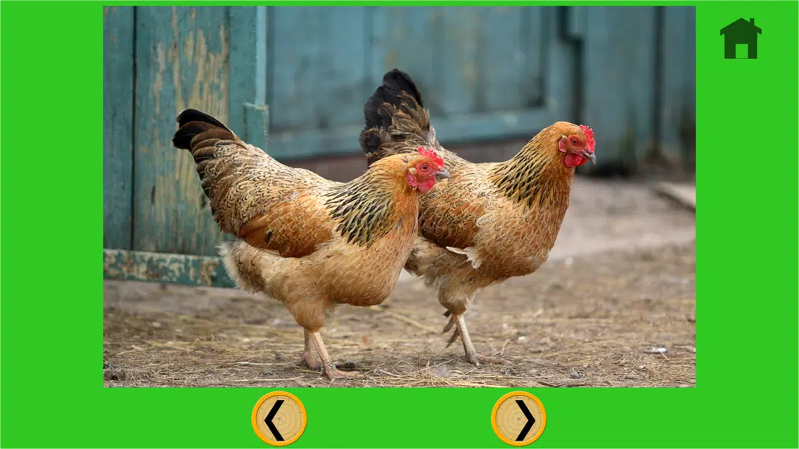 Screenshot di marvelous farm animals for kids - free